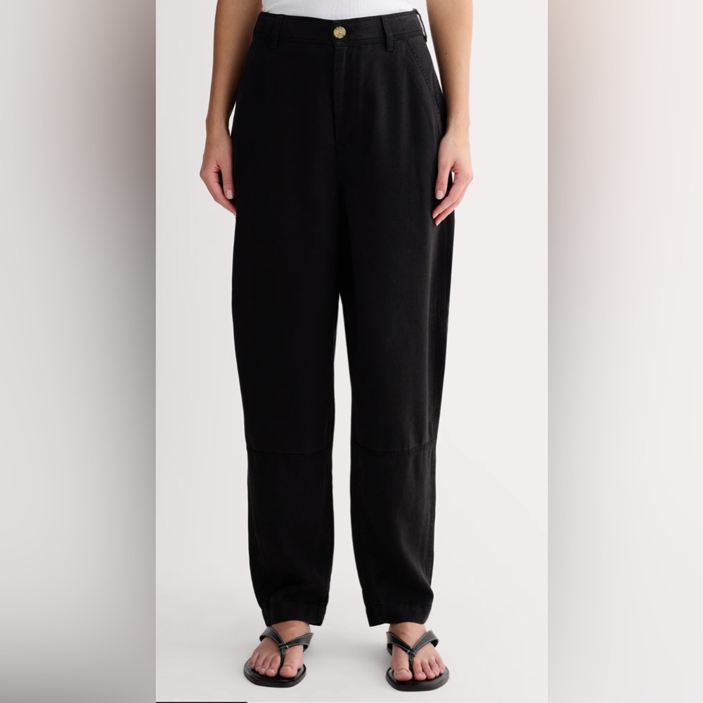 Everlane The Tencel Relaxed Chino